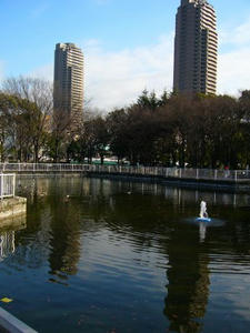 114.jpg
