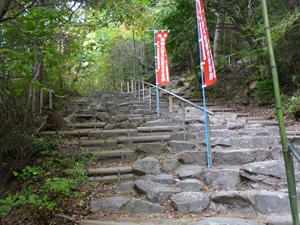 P1000857_R.JPG