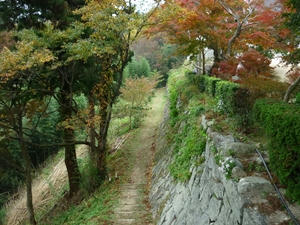 P1000872_R.JPG