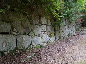 P1000898_R.JPG