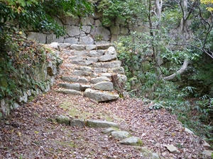 P1000911_R.JPG
