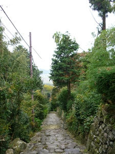 P1000958_R.JPG