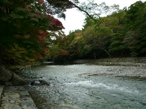 P1010003_R.JPG