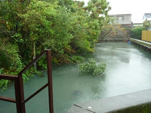 P1010056_R.JPG