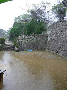 P1010072_R.JPG