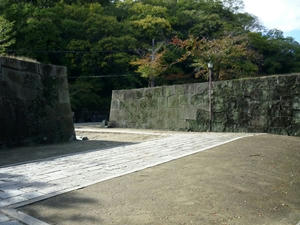 P1010113_R.JPG