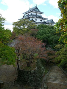 P1010140_R.JPG