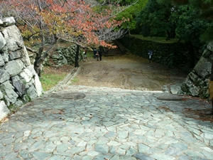 P1010141_R.JPG