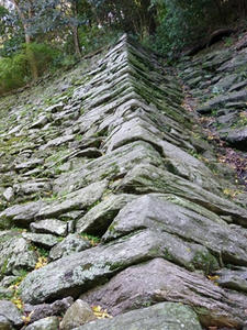 P1010181_R.JPG