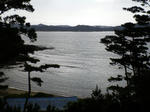 IMGP0369.JPG