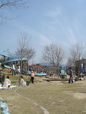 DSC02854.jpg