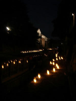 DSC03667.jpg
