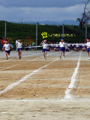 DSC0379.jpg