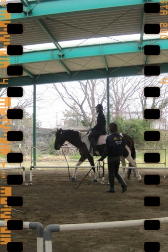 frame1f4aef1ebaa934a4e069703c0d47e71191530bf6.jpg