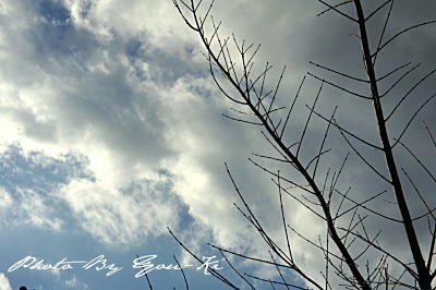 youki-05.jpg