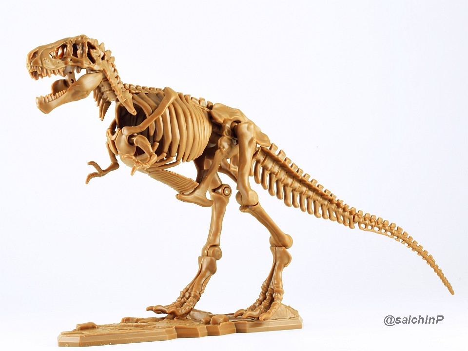 ティラノサウルス全身骨格プラモデル