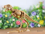 ティラノサウルス全身骨格プラモデル