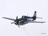 ARMA HOBBY FM-2ワイルドキャット