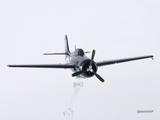 ARMA HOBBY FM-2ワイルドキャット