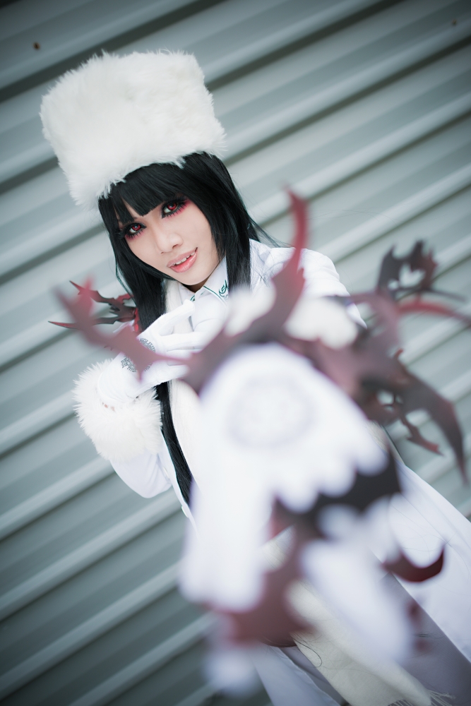 afa2012hellsing006.JPG