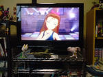 PAP_0039.JPG