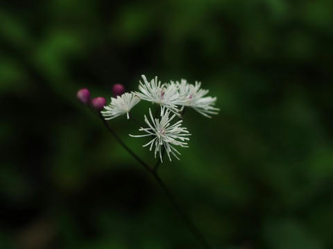 AP1014387.JPG