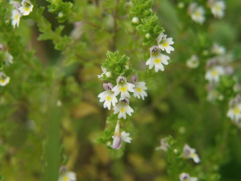 AP1014393.JPG
