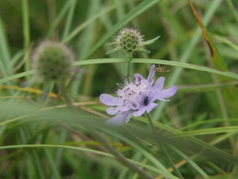 AP1014407.JPG
