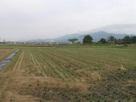 AP1014687.JPG