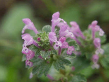AP1014681.JPG
