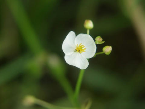 AP1016773.JPG