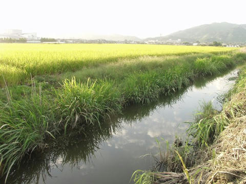 AP1016789.JPG