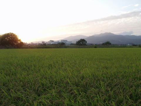 AP1016796.JPG