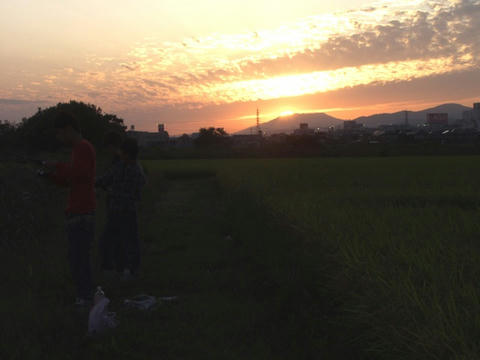 AP1016807.JPG
