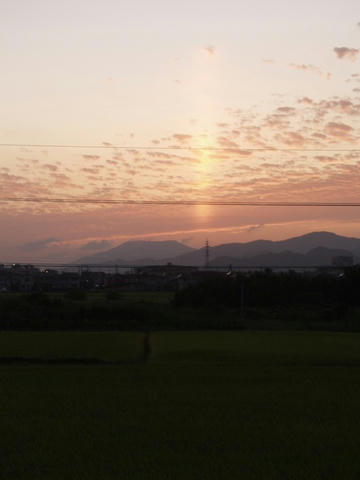 AP1016817.JPG