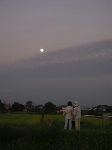 AP1016825.JPG