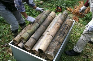 Apict6561.jpg