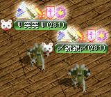 ﾜ━ヾ(｡･ω･｡)ﾉ━ｲ♪