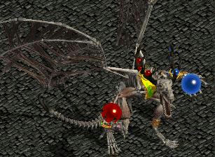 ドラコリッチ