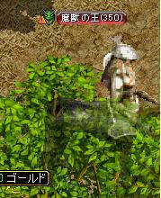 トラン西部・7時間38分湧き