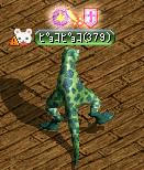 ピョコピョコー♪