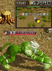 ④暴君バッカルを倒す