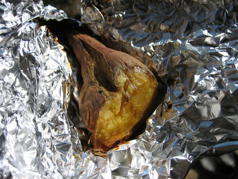 blog20111028_IMG_3778_mini800px.jpg