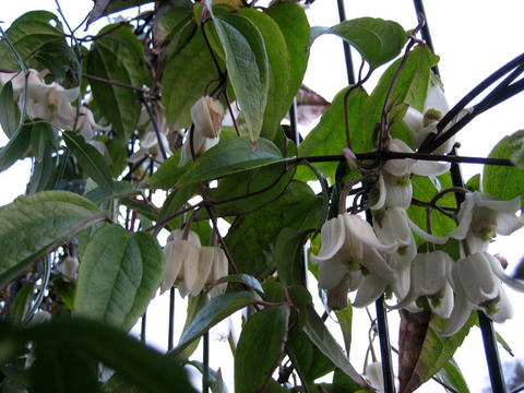 blog20120303soto_IMG_8075_mini800px.jpg