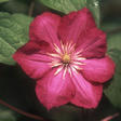 blogimg_2011kmco010.jpg