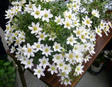 blogimg_img57552843.jpg