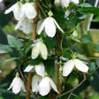 blogimg_epw101_001773_main.jpg