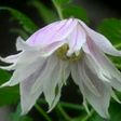blogimg_705p-1.jpg