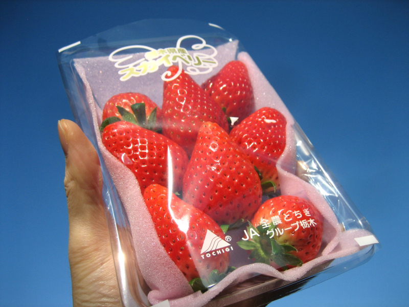 栃木県の新イチゴ スカイベリー を食べた感想など するめを食べながら覚え書き
