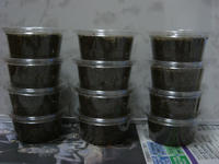 DSC00925.JPG
